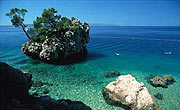 dalmatia